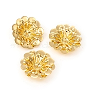 Лепестковые шарики из нескольких лепестков KK-I669-14G
