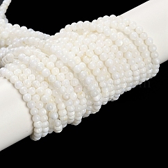 Fili di perline di conchiglie d'acqua dolce coltivate naturali, tondo, bianco floreale, 3mm, Foro: 0.5 mm, circa 125~128pcs/filo, 14.5~14.65'' (37~37.2 cm)