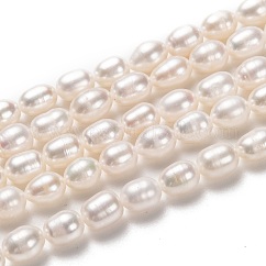 Fili di perle di perle d'acqua dolce coltivate naturali, riso, bisque, 7~8x6mm, Foro: 0.7 mm, circa 43pcs/filo, 14 pollice