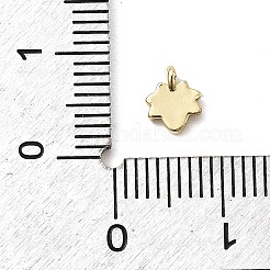 Charms del esmalte de bronce&nbsp;KK-P338-30G-04