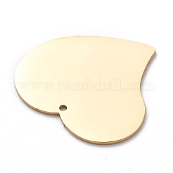 Pendentifs en acier inoxydable 304&nbsp;STAS-Y006-11G
