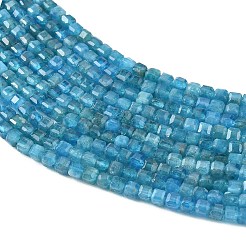Natürliche Apatit Perlen Stränge&nbsp;G-K376-D05-3x3mm