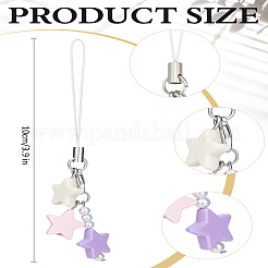 1 pezzo di resina con lega e cordino di nylon per la decorazione di accessori per cellulari&nbsp;HJEW-LP0002-12D