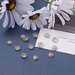 Chapeaux de perles fantaisie en fer&nbsp;X-IFIN-ZX1173-P