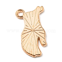 Pendentifs d'émail en alliage&nbsp;ENAM-G218-C02