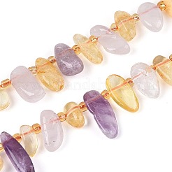 Naturperlen Stränge ametrine&nbsp;G-Z091-A41