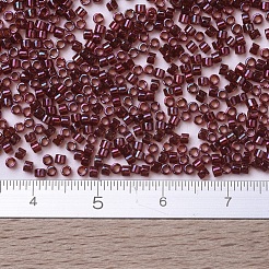 Miyuki Delica Perlen klein&nbsp;X-SEED-J020-DBS0105