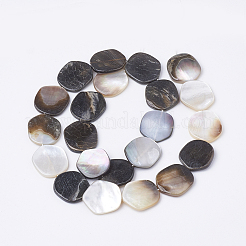Schwarz Lippe Shell Perlen Stränge&nbsp;X-BSHE-T002-02