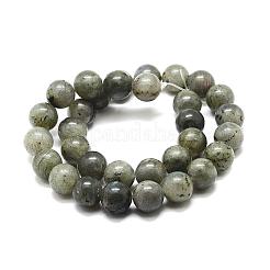 Chapelets de perles en labradorite naturelle&nbsp;G-P256-01-6mm