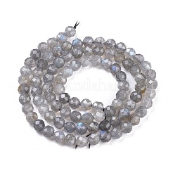 Natur Labradorit Perlen Stränge&nbsp;G-R475-025C