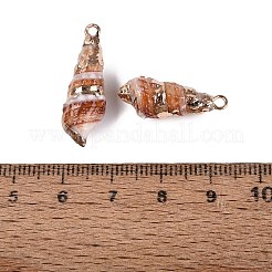 Pendenti a spirale in conchiglia naturale con finiture in ottone dorato galvanizzato.&nbsp;SSHEL-N042-40