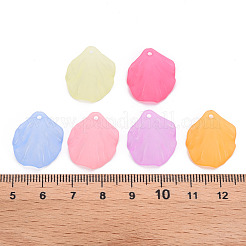Transparent gefrostetem Acryl-Anhänger&nbsp;MACR-S371-01A