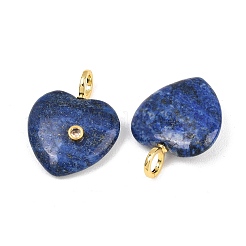 Natürliche Lapislazuli Anhänger&nbsp;G-D104-01G-12