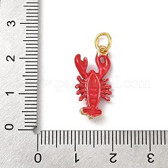 Emaille Anhänger Legierung&nbsp;KK-H523-05B-G