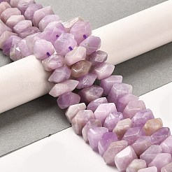 Naturperlen Stränge kunzite&nbsp;G-N327-05-10