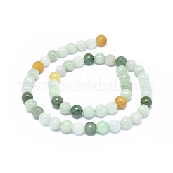 Natürliche jadeite Perlen Stränge&nbsp;G-G789-01B