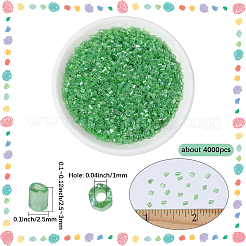 120 g Glasperlen&nbsp;SEED-PA0001-20