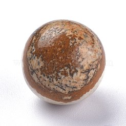 Natürliches Bild Jaspis Perlen&nbsp;G-L564-004-D01