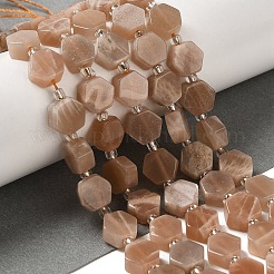 Natürliche sunstone Perlen Stränge&nbsp;G-P534-A09-01
