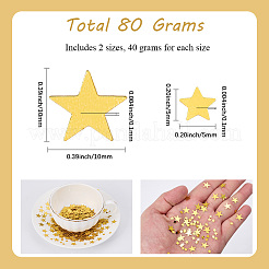 80 g 2 stili di coriandoli di paillettes di plastica in PVC&nbsp;AJEW-SP0002-01A