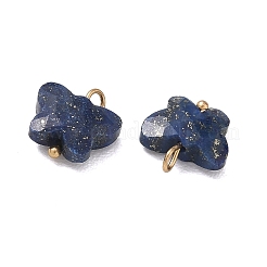 Gefärbt natürliche Lapislazuli Anhänger&nbsp;KK-D289-61G-06