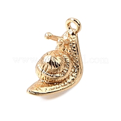 Charms in ottone&nbsp;KK-N290-21G
