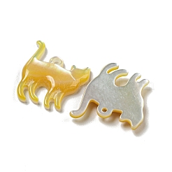 Pendentifs coquille jaune naturel&nbsp;SSHEL-N038-05A-02