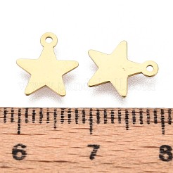 Pendentifs en acier inoxydable 304 avec placage ionique (IP)&nbsp;STAS-T064-78G