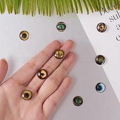 Glas cabochons&nbsp;GLAA-SZ0001-06