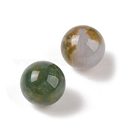 Perline a sfera in agata indiana naturale senza foro&nbsp;G-K353-04A-09