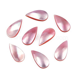 Natürliche Turbo Cornulus/Top Shell Cabochons&nbsp;SSHEL-N003-156B
