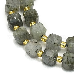 Perline labradorite naturale fili&nbsp;G-I376-D31-01