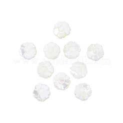 Natürlichen Muschelperlen Stränge&nbsp;SSHEL-CJ0001-09