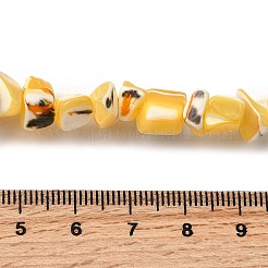 Chapelets de perles de coquille de trochid / trochus coquille&nbsp;SHEL-B003-02H