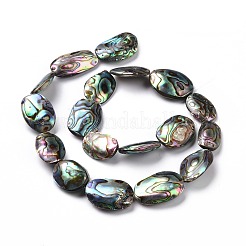 Natürliche Abalone-Muschel / Paua-Muschelperlen&nbsp;SSHEL-E379-1