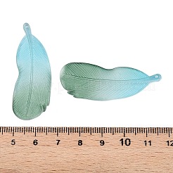 Zweifarbige Anhänger aus mattiertem Acryl&nbsp;FACR-T007-02G