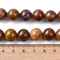 Brins de perles d'agate alashan naturelles&nbsp;G-H343-D05-12mm-B