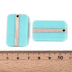 Colgantes de resina opaca y madera&nbsp;RESI-T057-44A