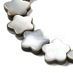 Natur schwarz Lippe Shell Perlen Stränge&nbsp;SHEL-M021-02A