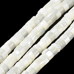 Hebras de cuentas de concha de trochus natural&nbsp;BSHE-E030-09B-01