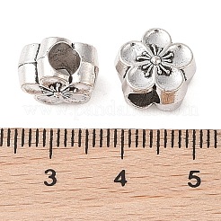 Tibetische Stil Legierung Großlochperlen&nbsp;FIND-C060-002AS