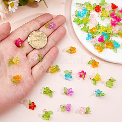 100pcs breloques acryliques transparentes&nbsp;PALLOY-DC00041