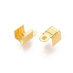 Eisenklapp Crimp-Enden&nbsp;IFIN-R204-27G-01