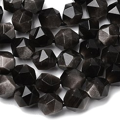 Natürliche silberne Obsidianperlenstränge&nbsp;G-Z119-A11-02