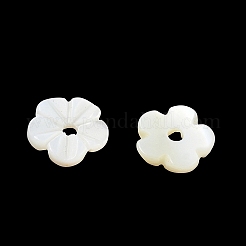 Cuentas talladas de concha de agua dulce natural&nbsp;SH-CBACA76-04