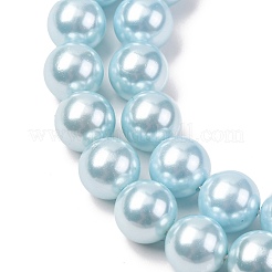Perles de perles de coquille galvanoplastie&nbsp;BSHE-G041-10mm-03