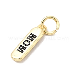 Messing Emaille Anhänger / charms&nbsp;KK-P338-01G-C01