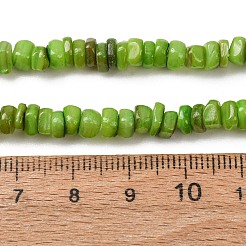 Chapelets de perles de coquille d'eau douce naturelle teinte&nbsp;SH-CBA2978-04B