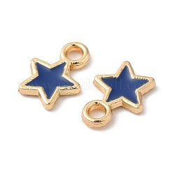 Umweltfreundliche Legierungsemailanhänger&nbsp;PALLOY-M212-04G