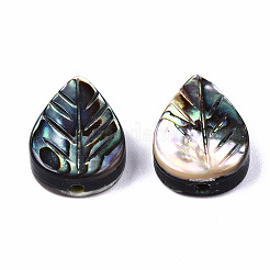 Natürliche Abalone-Muschel / Paua-Muschelperlen&nbsp;SSHEL-T014-08
